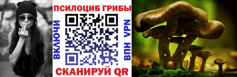 Галлюциногенные грибы мухоморы  Купить  Изобильный 